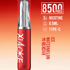 XIAOKE 8500口拋棄式電子煙 梟客鴨嘴獸一次性煙桿 超高CP值 32 xiaoke 8500 冰爽西瓜