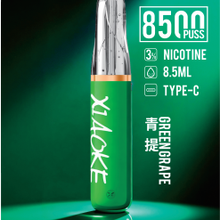 XIAOKE 8500口拋棄式電子煙 梟客鴨嘴獸一次性煙桿 超高CP值 21 xiaoke 8500 青提